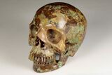 Realistic, Polished Autumn Jasper Skull #199601-2